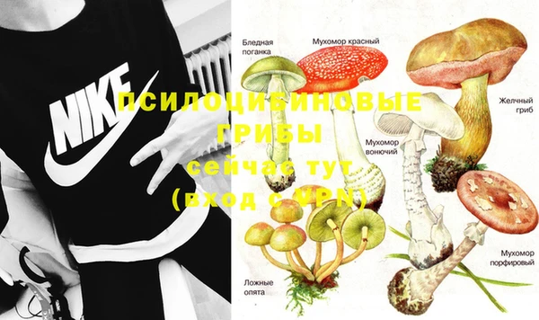 PSILOCYBIN Баксан