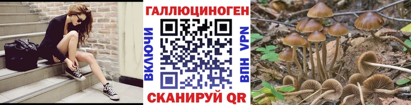 Купить где  Горнозаводск  Псилоцибиновые грибы GOLDEN TEACHER 